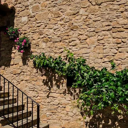 El Mirador Del Castillo * Cedrillas
